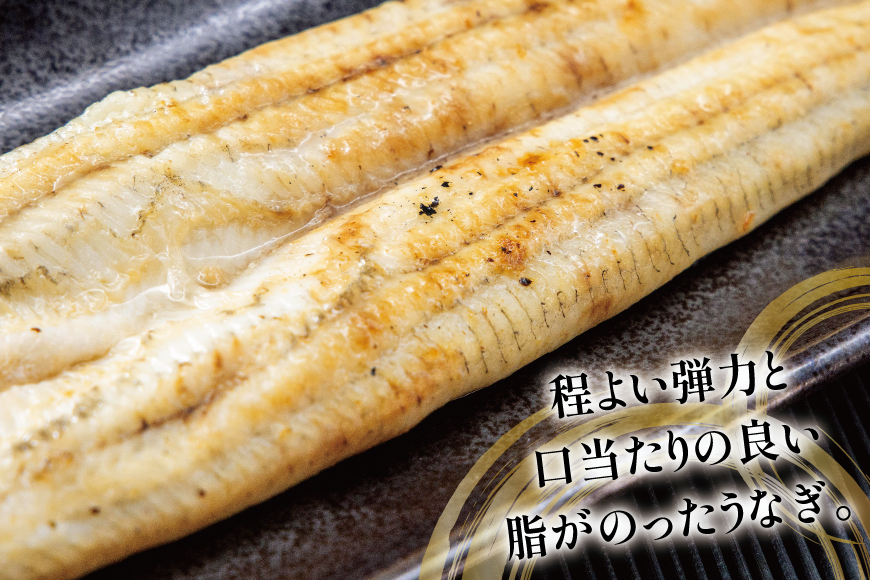 うなぎ 国産 白焼 定期便 160g程度 2尾 3回 総計6尾 960g以上 タレ山椒付き 真空パック 個包装 [駿河淡水 静岡県 吉田町 22424510] 静岡県産 静岡 鰻 ウナギ うなぎ白焼き うなぎ白焼 鰻白焼き 白焼き 化粧箱 冷凍 unagi