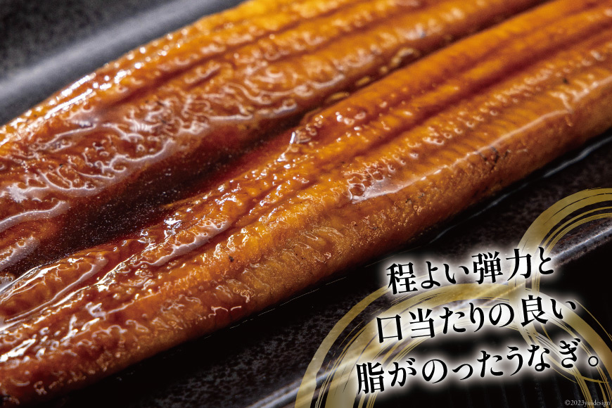 うなぎ 国産 蒲焼 160g程度×2尾 計320g以上 タレ山椒付き 真空パック 個包装 [駿河淡水 静岡県 吉田町 22424521] 静岡県産 静岡 鰻 ウナギ 蒲焼き 化粧箱