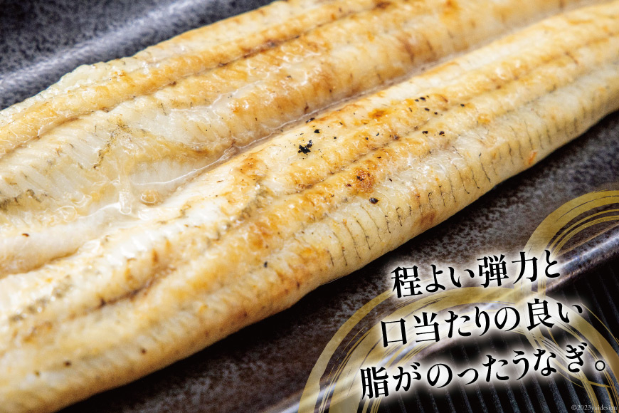 うなぎ 国産 白焼 160g程度×2尾 計320g以上 タレ山椒付き 真空パック 個包装 [駿河淡水 静岡県 吉田町 22424522] 静岡県産 静岡 鰻 ウナギ 白焼き 化粧箱