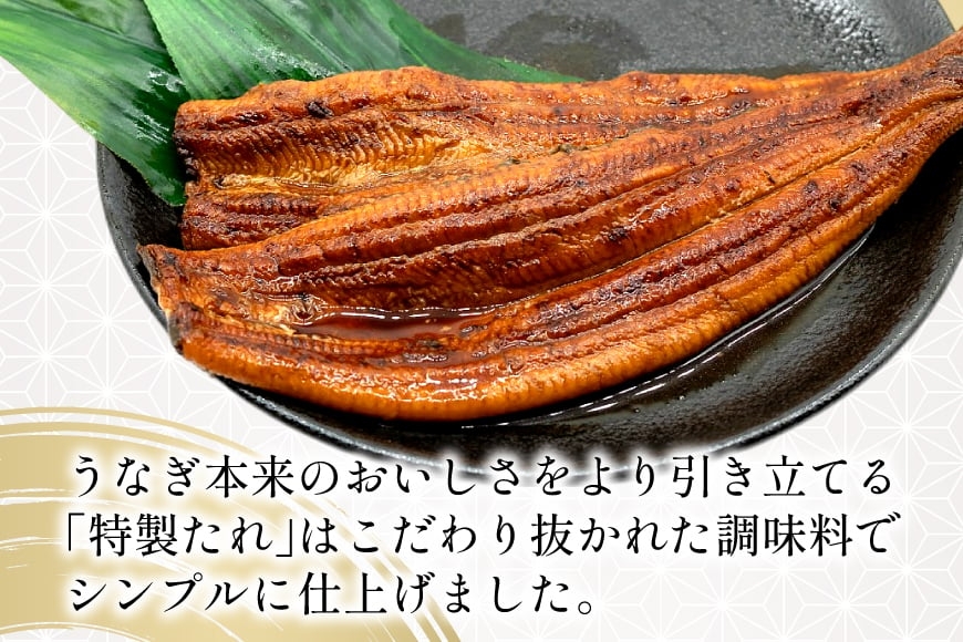 うなぎ 国産 静岡 定期便 蒲焼 長焼 約140g 2尾 3回 総計6尾 [静岡鰻販売 静岡県 吉田町 22424581] 静岡県産 鰻 ウナギ ungai 蒲焼き うなぎ蒲焼き 鰻蒲焼 タレ たれ 山椒 真空パック 冷凍