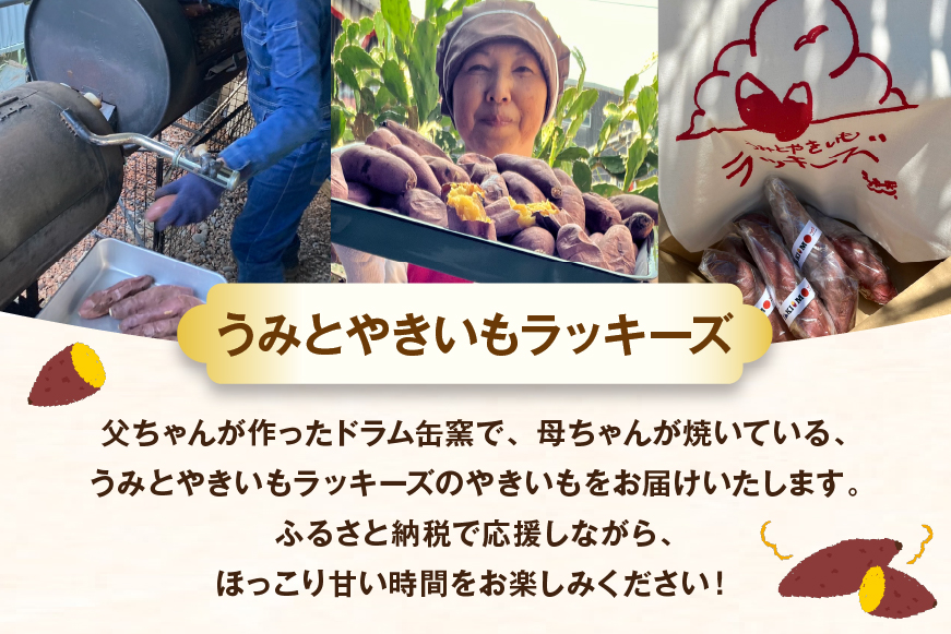 【期間限定発送】 焼き芋 「元気が出るやきいも（フローズン）」紅はるか 500g 冷凍 [うみとやきいもラッキーズ 静岡県 吉田町 22424682] やきいも 焼きいも 焼芋 ヤキイモ 焼イモ おいも 芋 いも べにはるか さつま芋 さつまいも サツマイモ おやつ スイーツ