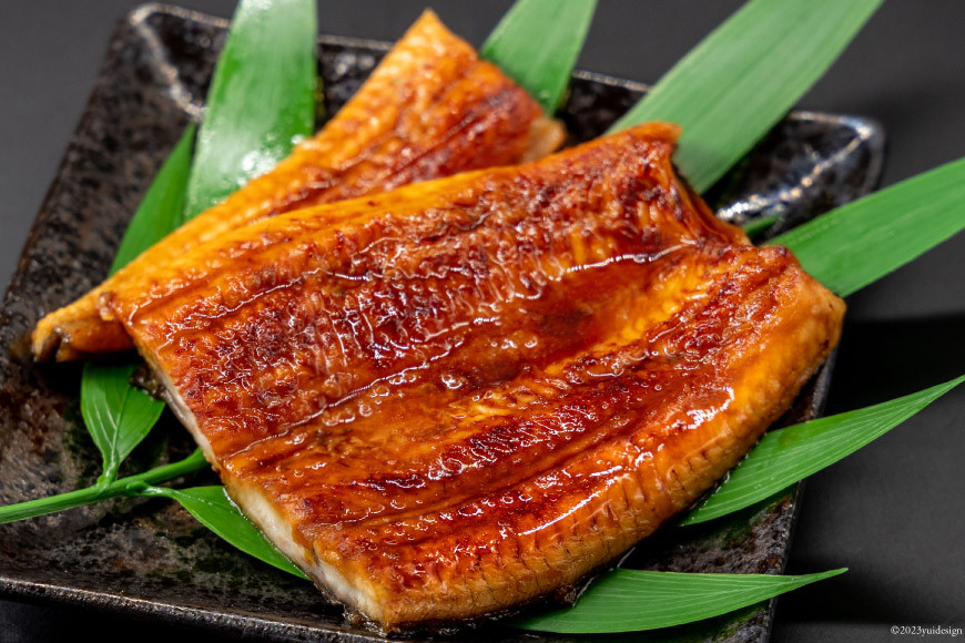 【国産(静岡県産)】静岡うなぎ漁協　うなぎふるさとセット [静岡うなぎ漁業協同組合 静岡県 吉田町 1045760] 静岡県産 鰻 ウナギ うなぎ 蒲焼き 白焼き 真空パック 冷凍