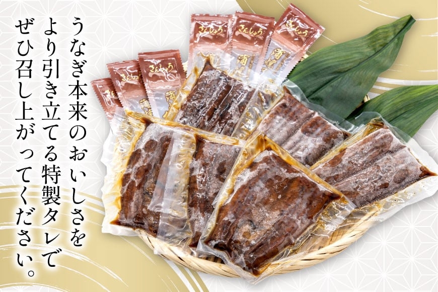 うなぎ 国産 静岡 うなぎ蒲焼 ハーフカット 100g ×6 計600g [静岡鰻販売 静岡県 吉田町 22424172] 鰻 ウナギ うなぎ蒲焼き うなぎ蒲焼 真空パック 冷凍 蒲焼 肉厚 ふっくら