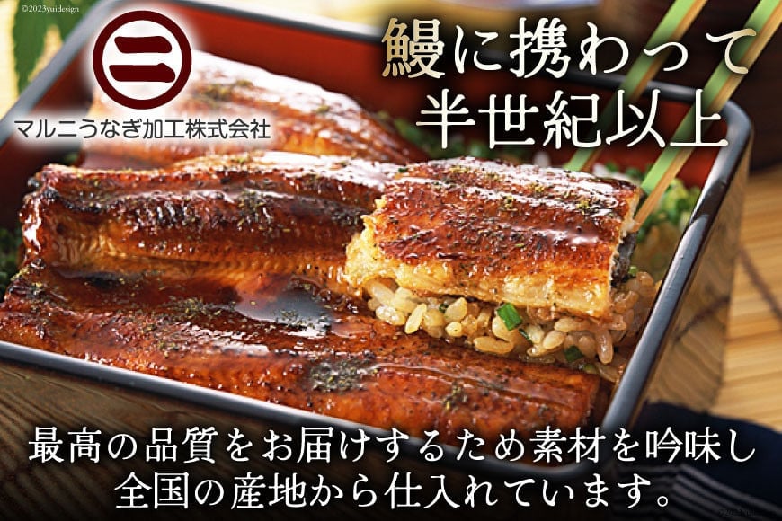 うなぎ 国産 蒲焼 肉厚 145g前後×2 真空パック タレ山椒付き [マルニうなぎ加工 静岡県 吉田町 22424421] 鰻 ウナギ 蒲焼き 化粧箱 冷凍
