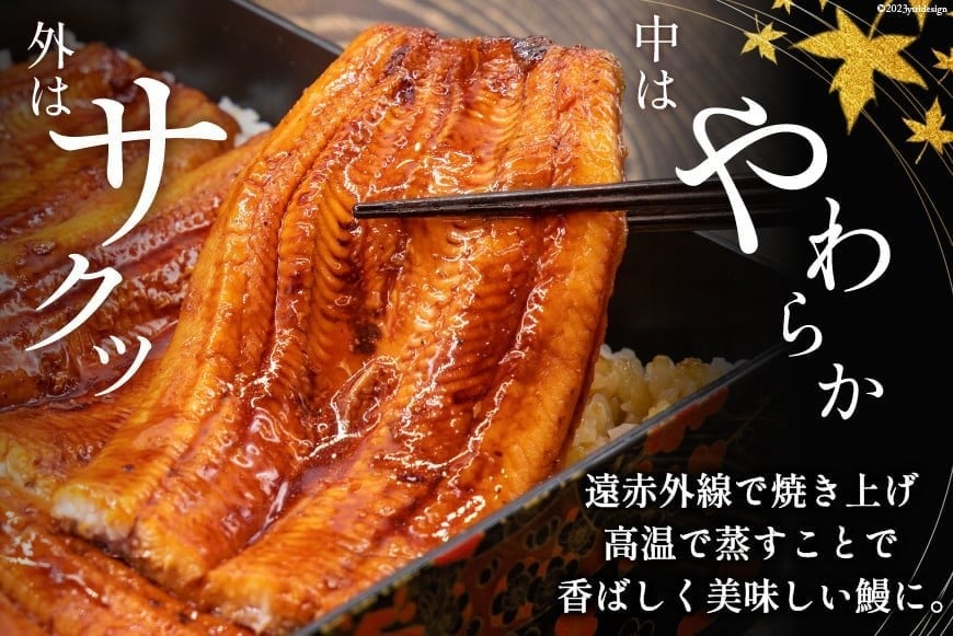 『定期便』国産 うなぎ蒲焼・2尾セット 全12回 [マルニうなぎ加工 静岡県 吉田町 22424423] 鰻 ウナギ 蒲焼き うなぎ蒲焼き 鰻蒲焼き unagi