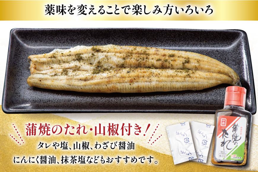 うなぎ 国産 白焼 160g程度×2尾 計320g以上 タレ山椒付き 真空パック 個包装 [駿河淡水 静岡県 吉田町 22424522] 静岡県産 静岡 鰻 ウナギ 白焼き 化粧箱