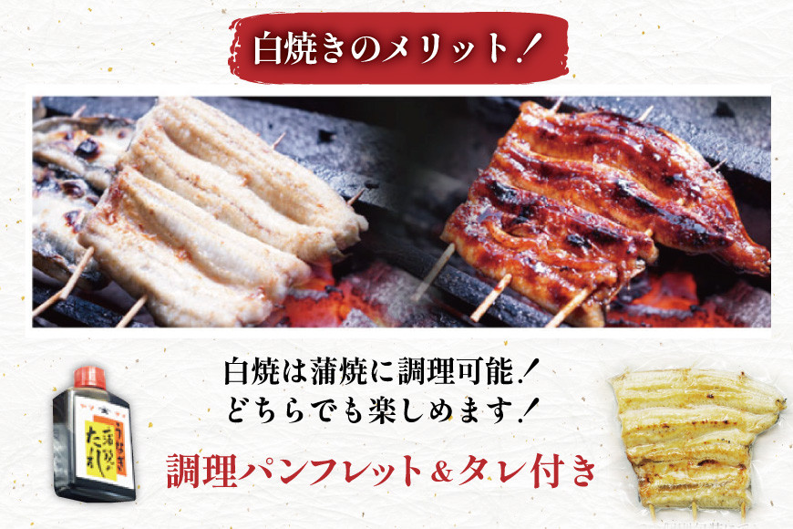 うなぎ 国産 訳あり 白焼 血抜き締め 500～550g セット 5～7本程度 [ヤママツ村田商店 静岡県 吉田町 22424596-b] 鰻 ウナギ unagi 白焼き うなぎ白焼 鰻白焼 炭火焼 冷凍 規格外