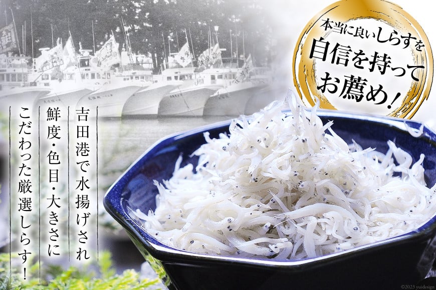 3回 定期便 駿河湾産 しらす干し 100g×3 釜上げしらす 120g×3 計6パック [マルあ水産 静岡県 吉田町 22424642] 魚 海鮮 しらす 白子 シラス 天日 じゃこ 小分け おじゃこ しらす干し