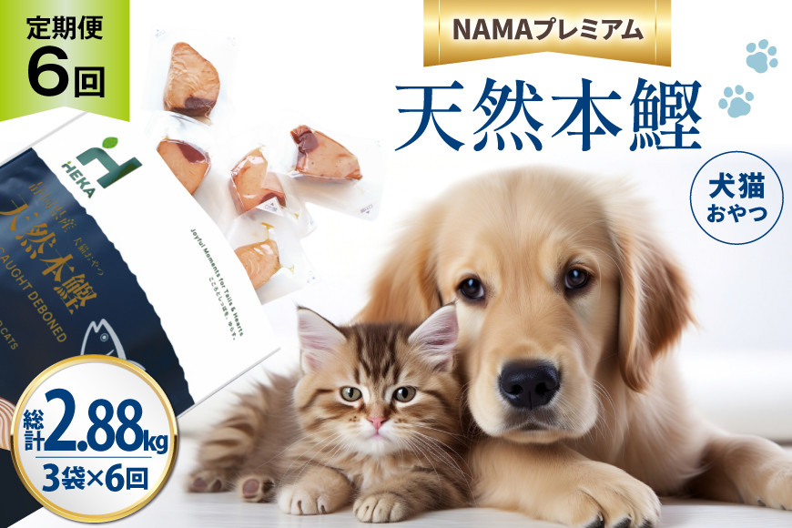 6回 定期便 ペットフード 犬 猫 HEKA 犬猫用 おやつ 天然本鰹 160g 3袋 総計2.88kg [HEKA Petlife 静岡県 吉田町 22424413] 犬用 猫用 ドッグフード キャットフード エサ 餌 いぬ ねこ ペット 国産 個包装