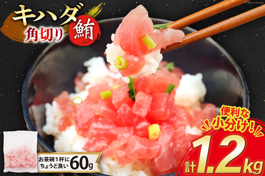 マグロ 天然 キハダマグロ 角切り 60g 20パック 計1.2kg 冷凍 小分け [トライ産業 静岡県 吉田町 22424416-a] まぐろ 鮪 maguro 海鮮 海鮮丼