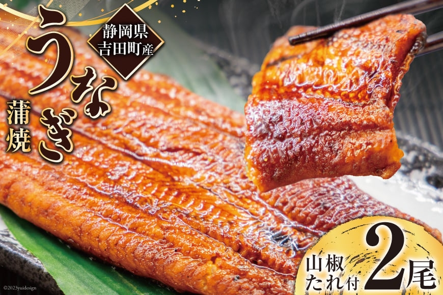 うなぎ 国産 静岡 うなぎ蒲焼 150g 以上× 2尾 タレ 山椒 付き [大井川うなぎ 静岡県 吉田町 22424464] 鰻 ウナギ うなぎかば焼き うなぎ蒲焼き 鰻蒲焼 鰻蒲焼き ウナギかば焼き 真空パック 蒲焼 タレ たれ 静岡県産 unagi