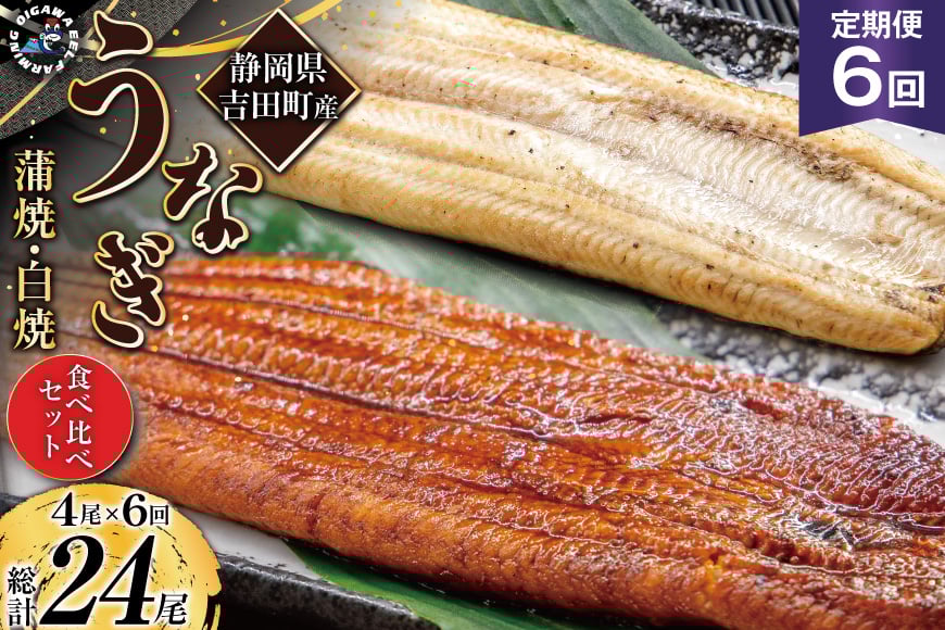 うなぎ 国産 静岡 定期便 蒲焼 2尾 & 白焼 2尾 6回 総計24尾 食べ比べセット [大井川うなぎ 静岡県 吉田町 22424562] 静岡県産 鰻 ウナギ ungai 蒲焼き うなぎ蒲焼き 鰻蒲焼 白焼き タレ たれ 山椒 真空パック 冷凍