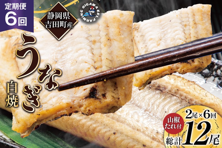 うなぎ 国産 定期便 白焼 150g以上 2尾 6回 総計12尾 タレ 山椒 付き [大井川うなぎ 静岡県 吉田町 22424564] 鰻 ウナギ unagi 白焼き 鰻白焼き 真空パック 冷凍 静岡県産
