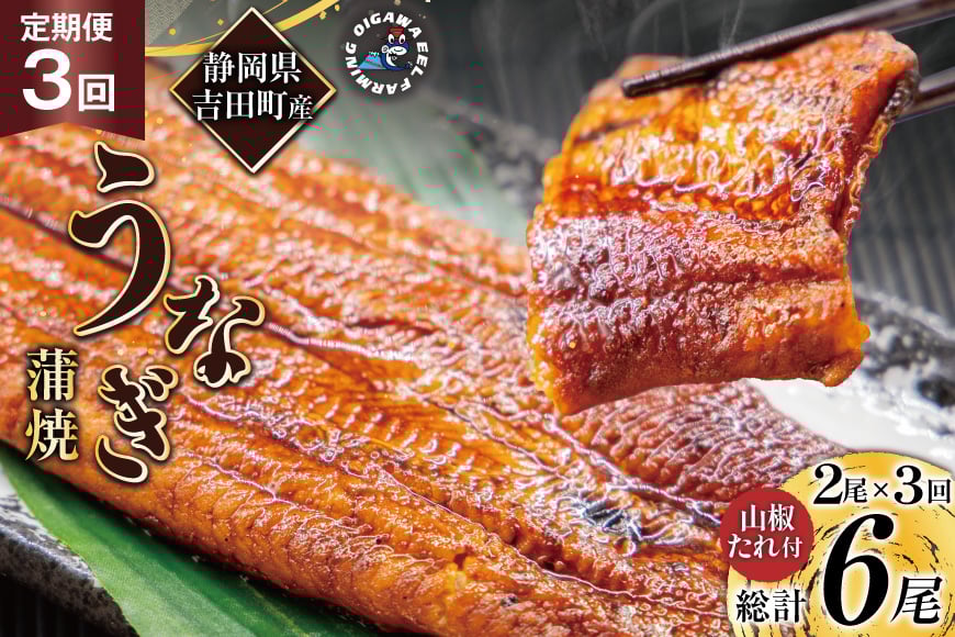うなぎ 国産 静岡 定期便 蒲焼 150g以上 2尾 3回 総計6尾 [大井川うなぎ 静岡県 吉田町 22424567] 静岡県産 鰻 ウナギ ungai 蒲焼き うなぎ蒲焼き 鰻蒲焼 タレ たれ 山椒 真空パック 冷凍