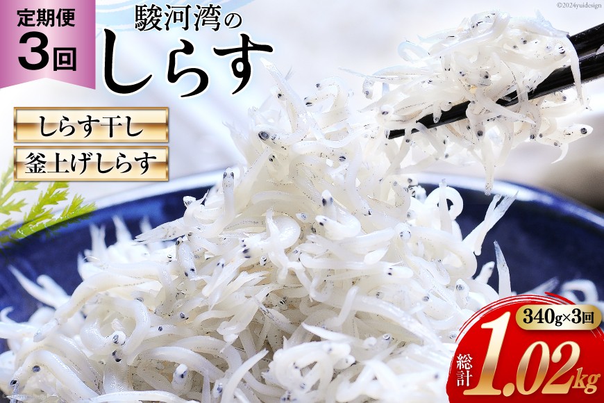 3回 定期便 駿河湾産 しらす干し 100g×1 釜上げしらす 120g×2 計3パック [マルあ水産 静岡県 吉田町 22424640] 魚 海鮮 しらす 白子 シラス 天日 じゃこ 小分け おじゃこ しらす干し