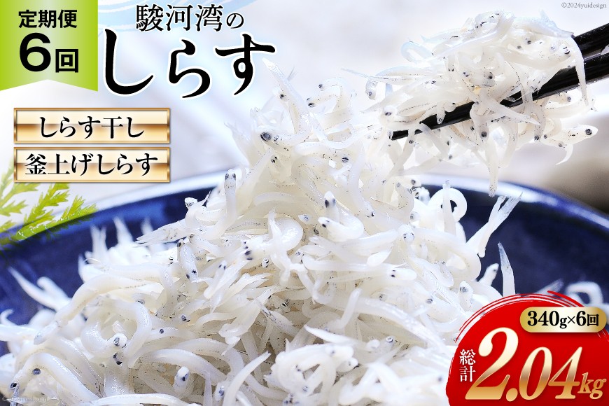 6回 定期便 駿河湾産 しらす干し 100g×1 釜上げしらす 120g×2 計3パック [マルあ水産 静岡県 吉田町 22424641] 魚 海鮮 しらす 白子 シラス 天日 じゃこ 小分け おじゃこ しらす干し