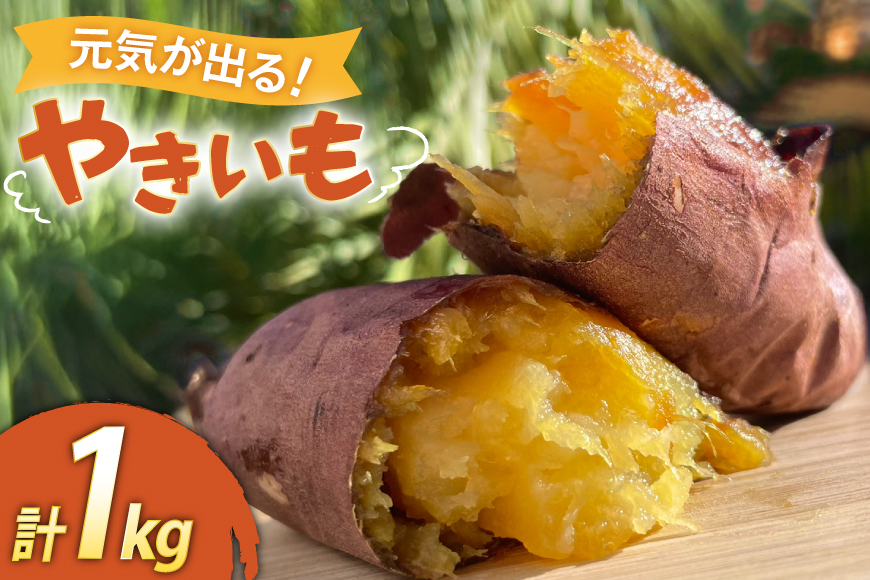 【期間限定発送】 焼き芋 「元気が出るやきいも（フローズン）」紅はるか 1kg 冷凍 [うみとやきいもラッキーズ 静岡県 吉田町 22424683] やきいも 焼きいも 焼芋 ヤキイモ 焼イモ おいも 芋 いも べにはるか さつま芋 さつまいも サツマイモ おやつ スイーツ