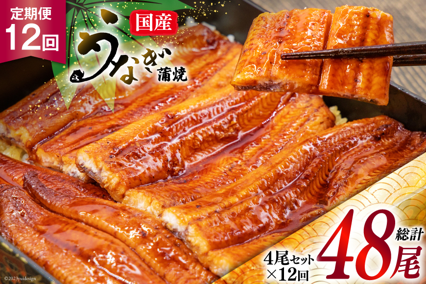 『定期便』国産うなぎ蒲焼・4尾セット 全12回 [マルニうなぎ加工 静岡県 吉田町 5024122]