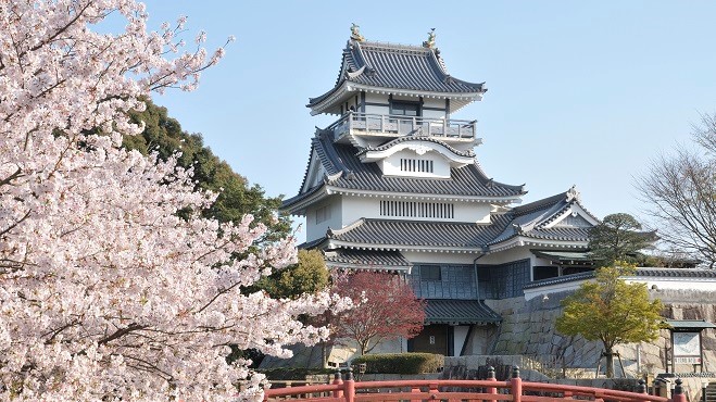 ねぎとろ 山崎産業株式会社｜アンブラーオクトN-36 ピンク