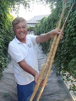 自然薯箱入りセット