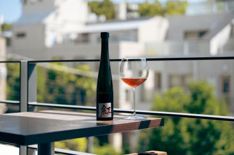 Apoptosis Colors 紅 -和紅茶-