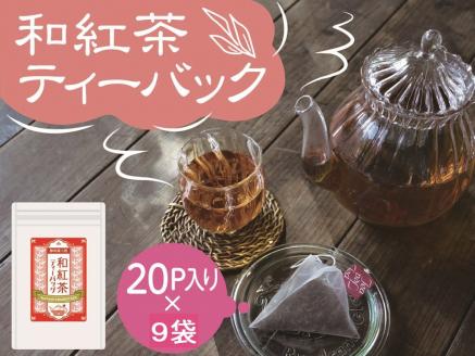 【定期便】川根紅茶 紐付きティーバッグ180個