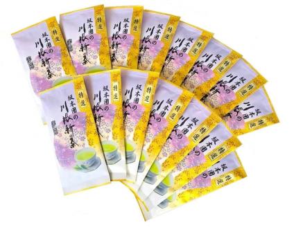 新茶 静岡川根茶　特選新茶100g×15本