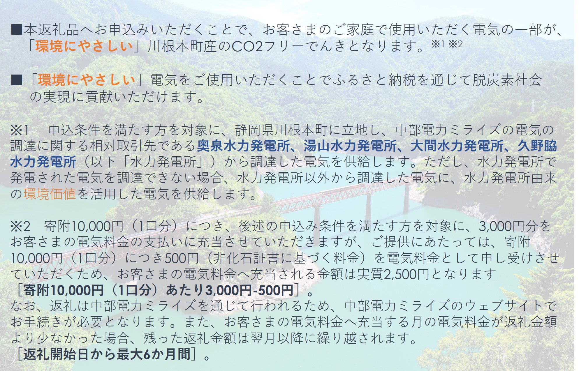 川根本町産CO2フリーでんき　100,000円コース（注：お申込み前に申込条件を必ずご確認ください）