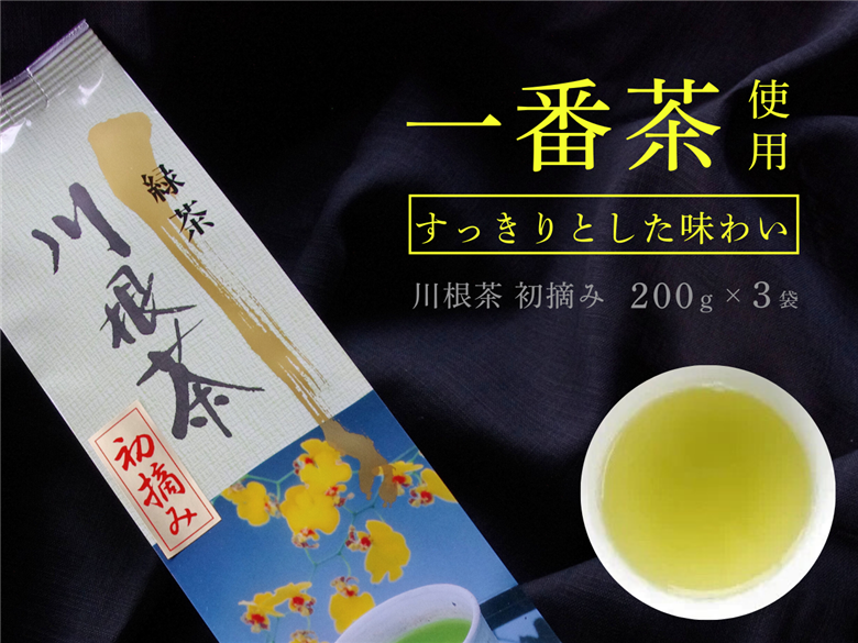 上煎茶　川根茶「初摘」セット 200ｇ×3袋