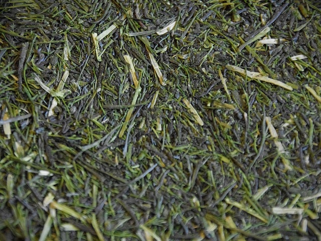 豊かな香り 上品な味わい「川根茶 特撰秘園かりがね」100g×3袋