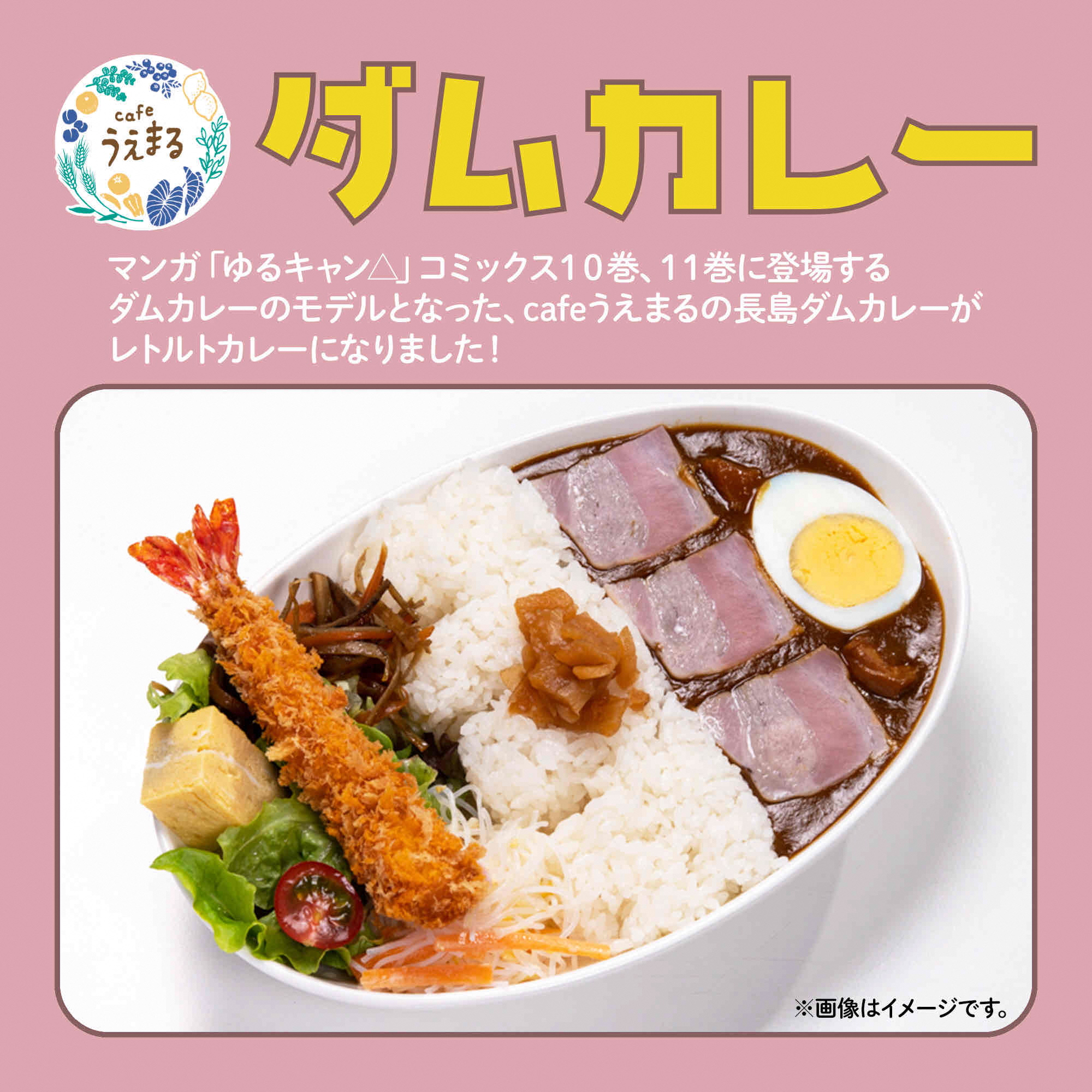 ダムカレー（レトルトパウチ食品）