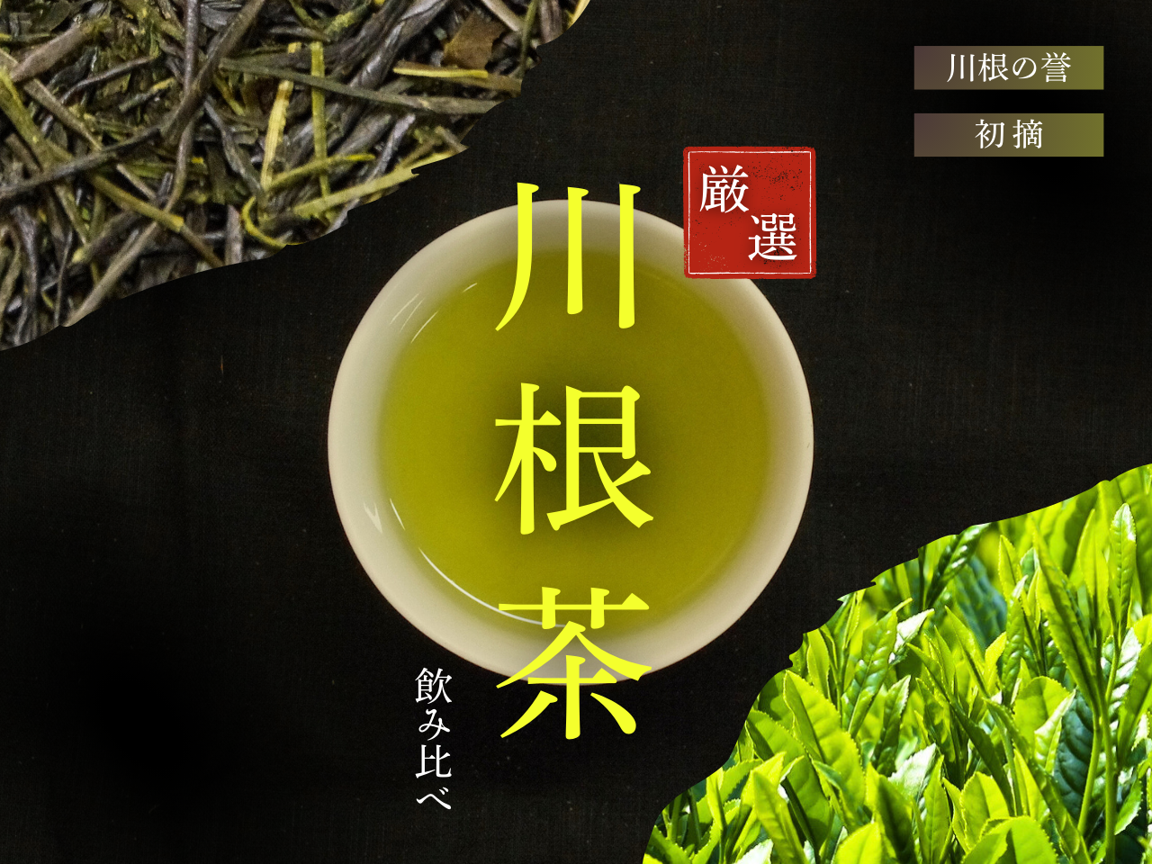 厳選川根茶 ２種おすすめセット