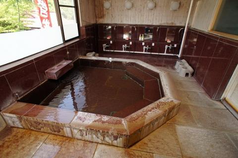 秘境！奥大井“若返りの湯”接岨峡温泉会館 満喫ペア券（入浴+食事券）