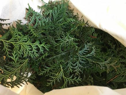 KAGYA JAPAN エッセンシャルオイル5ml【HINOKI】＆KAGYA JAPAN オリジナル ヒノキのディフューザー