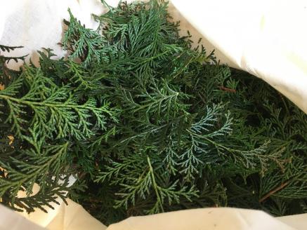 KAGYA JAPAN　エッセンシャルオイル【HINOKI】（5ml×３本セット）