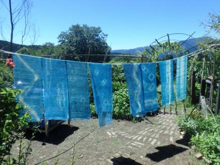 いつでもおいで四季の郷 川根本町セット