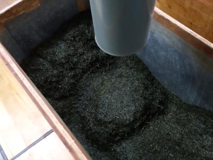 生粋川根茶澤本園 ふるさとありがとう27