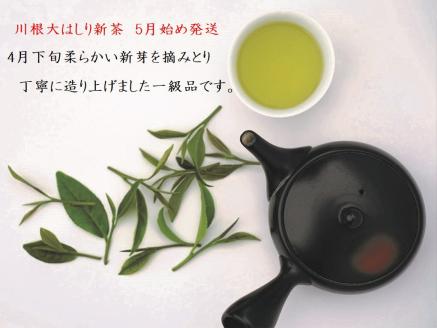 新茶 静岡川根茶大走り新茶100g×6本