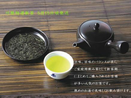 新茶 静岡川根茶　特選新茶100g×5本