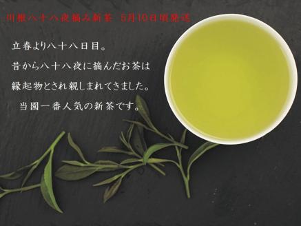 新茶 静岡川根茶八十八夜摘み　100g×3本