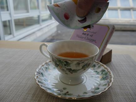 邪道なティーバッグ 煎茶っぽ×２個・和紅茶っぽ１個