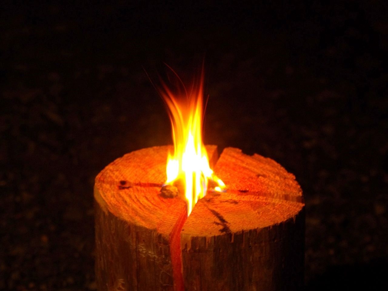 13-10KAGYA JAPAN 灯縁-TOUEN【スギMsize】