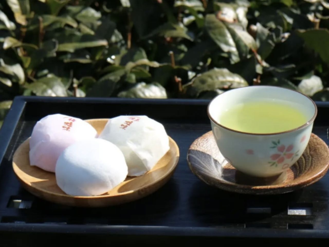 相藤園オリジナル　川根茶「里の彩」お勧めセット