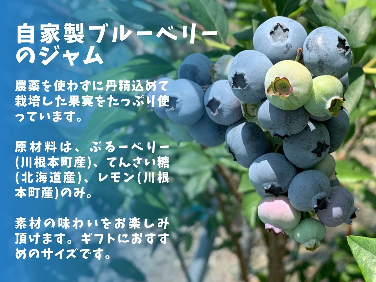 ぶるーべりージャム