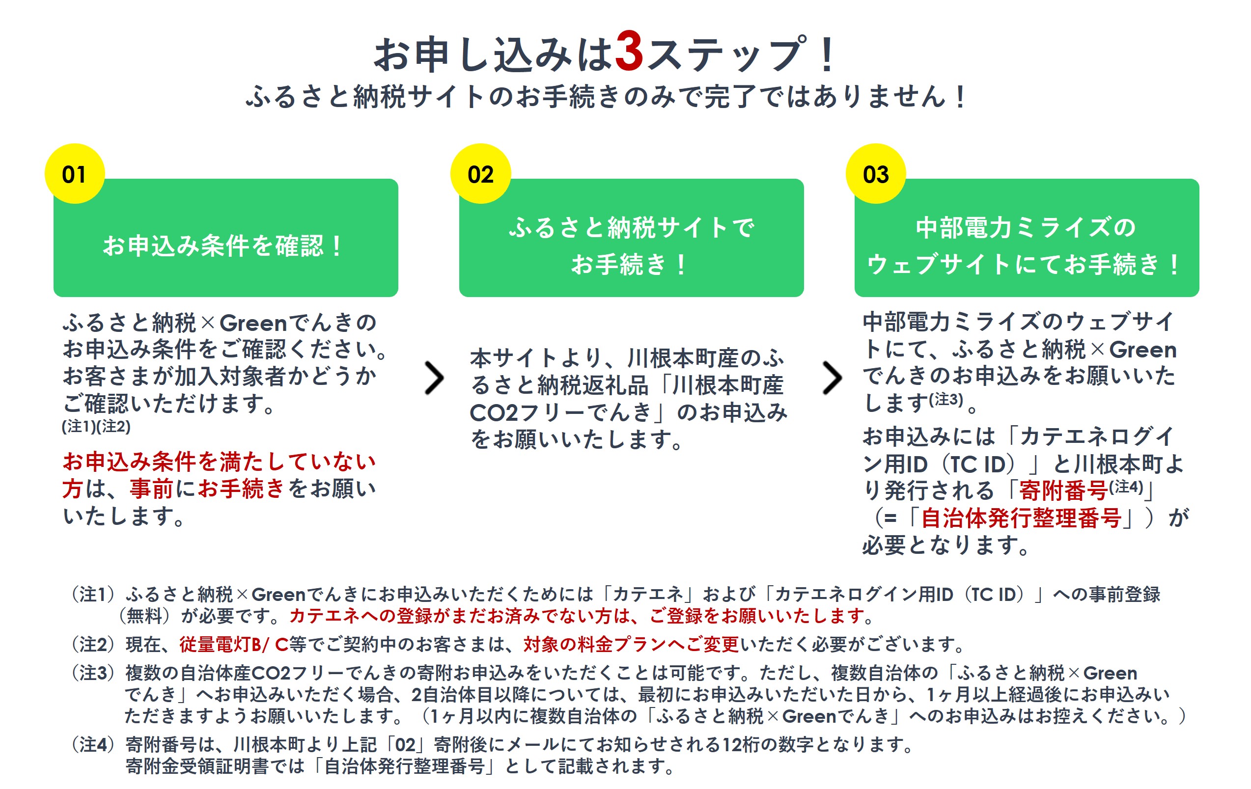川根本町産CO2フリーでんき　30,000円コース（注：お申込み前に申込条件を必ずご確認ください）