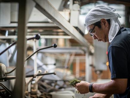 KAGYA JAPAN ORGANIC KAGYA BLEND 【Yuzu and black tea】10本セット