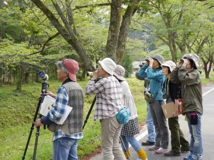 いつでもおいで四季の郷 川根本町セット
