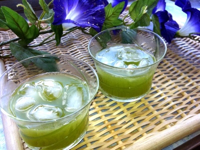 抹茶入り水出し煎茶ティーバッグ5袋