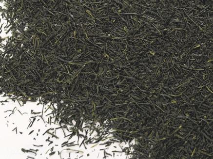 新茶 静岡川根茶　特選新茶100g×20本