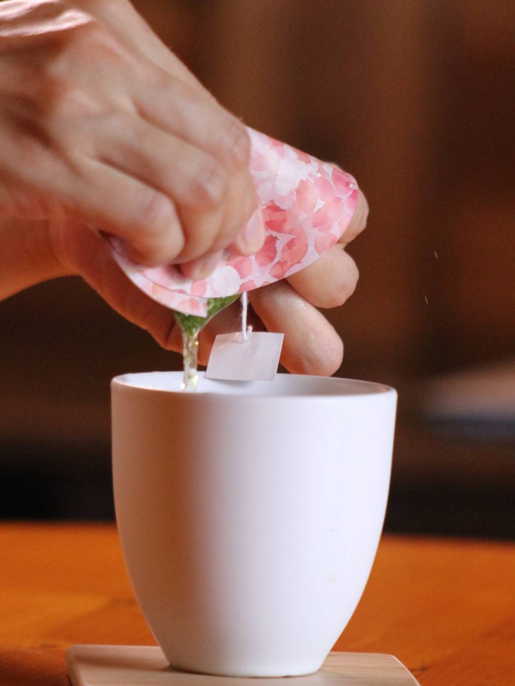 10-4 お茶 川根茶 ティーバッグ 静岡茶/お茶遊び 蓋付きティーバック「茶っぽ」×3セット